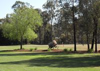 Looking towards driving range